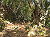 t24_137_thumb.jpg