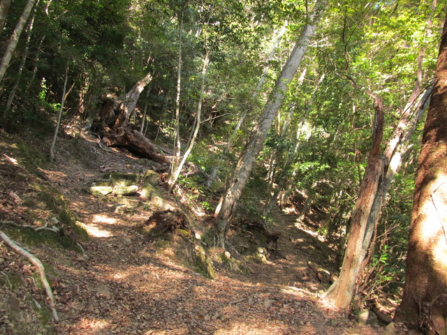 t24_140.jpg