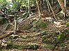 t24_143_thumb.jpg