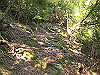 t24_144_thumb.jpg