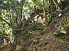 t24_147_thumb.jpg
