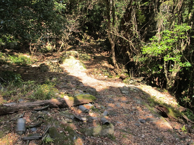 t24_151.jpg