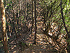 t24_158_thumb.jpg