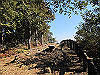 t24_161_thumb.jpg