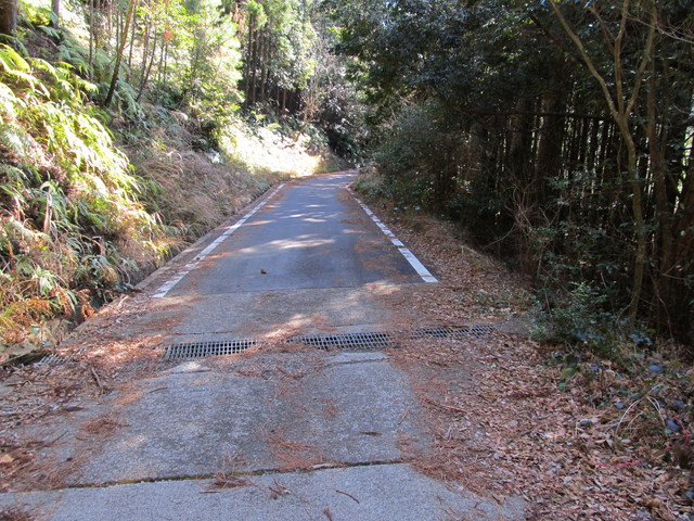 t24_172.jpg