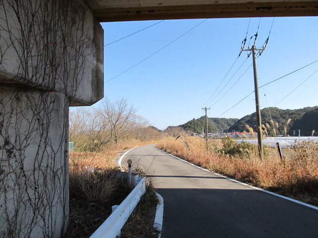 t24_175.jpg