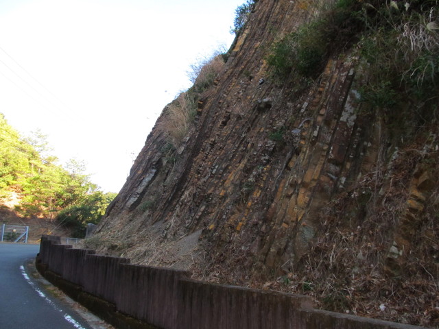 t24_186.jpg