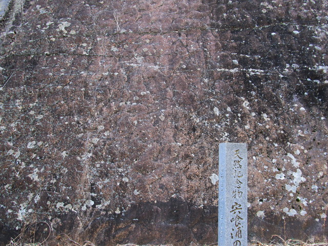 t24_189.jpg