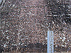 t24_189_thumb.jpg