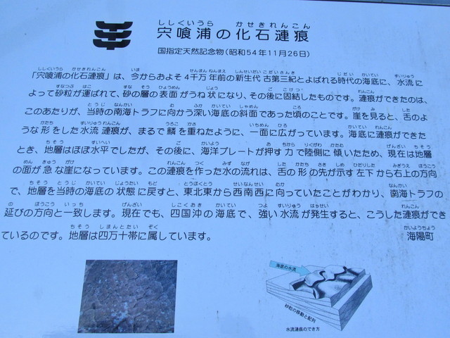 t24_190.jpg