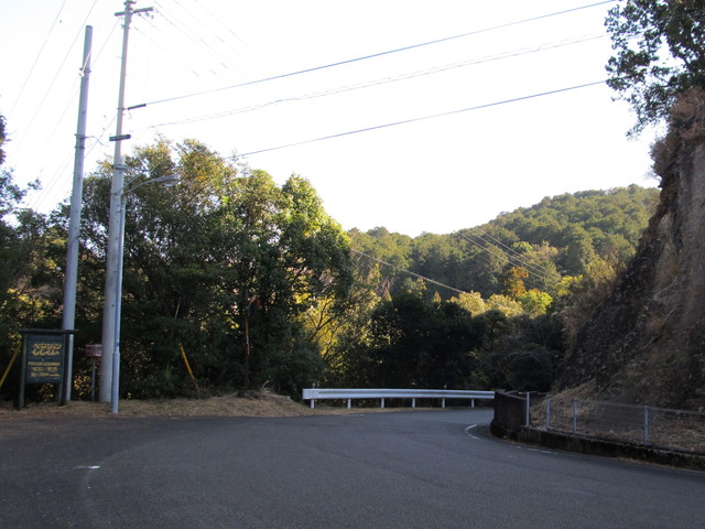 t24_191.jpg