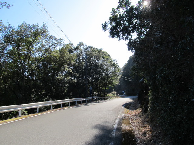 t24_202.jpg