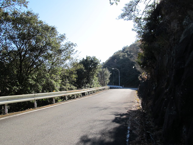 t24_205.jpg