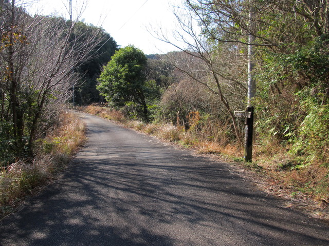 t24_208.jpg