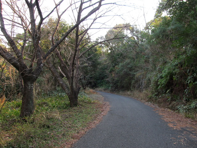 t24_210.jpg