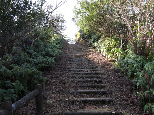 t24_222.jpg