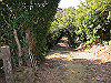 t24_224_thumb.jpg