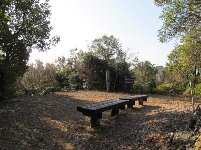 t24_227.jpg