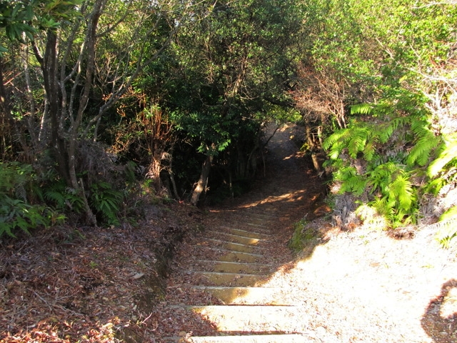 t24_228.jpg