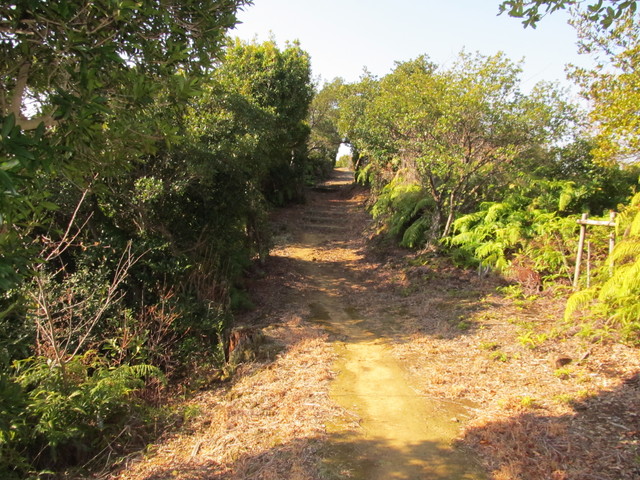 t24_230.jpg