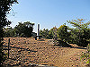 t24_231_thumb.jpg