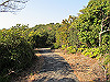 t24_237_thumb.jpg