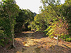 t24_243_thumb.jpg