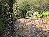 t24_246_thumb.jpg