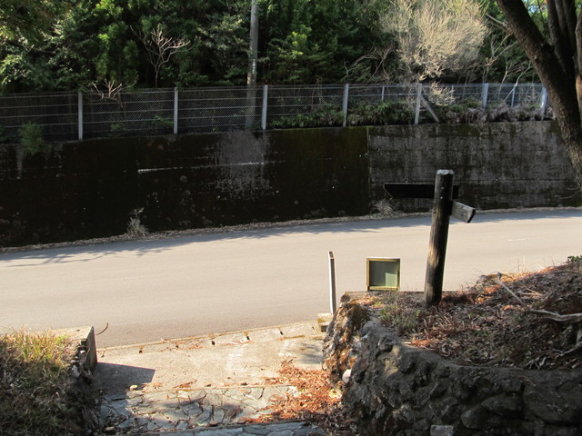t24_250.jpg