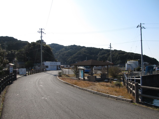 t24_256.jpg