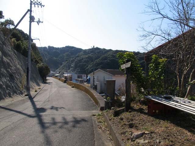 t24_259.jpg