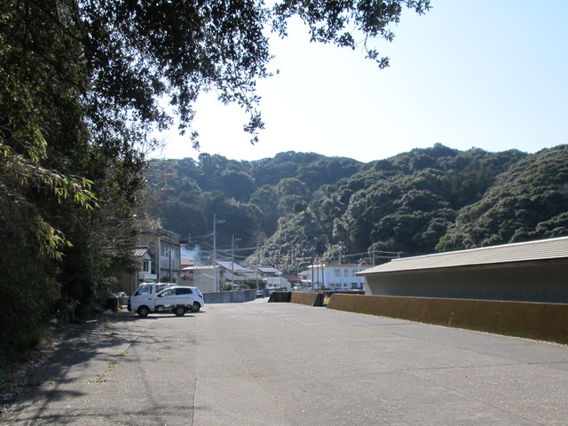 t24_260.jpg