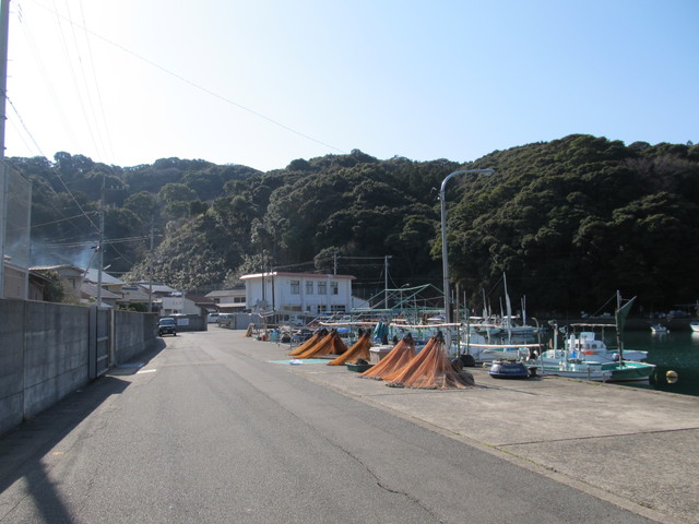 t24_261.jpg