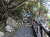 t24_267_thumb.jpg