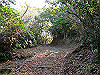 t24_273_thumb.jpg
