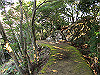 t24_285_thumb.jpg
