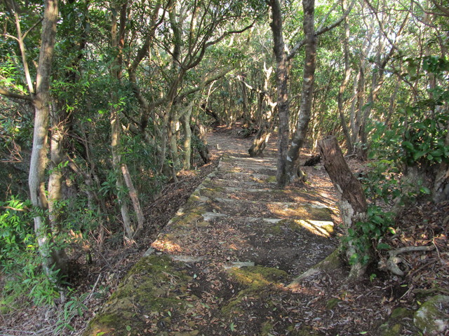 t24_286.jpg
