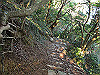t24_290_thumb.jpg