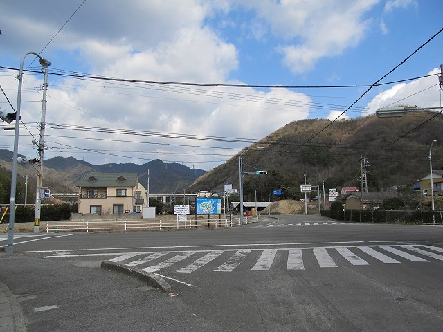 t03_001.jpg