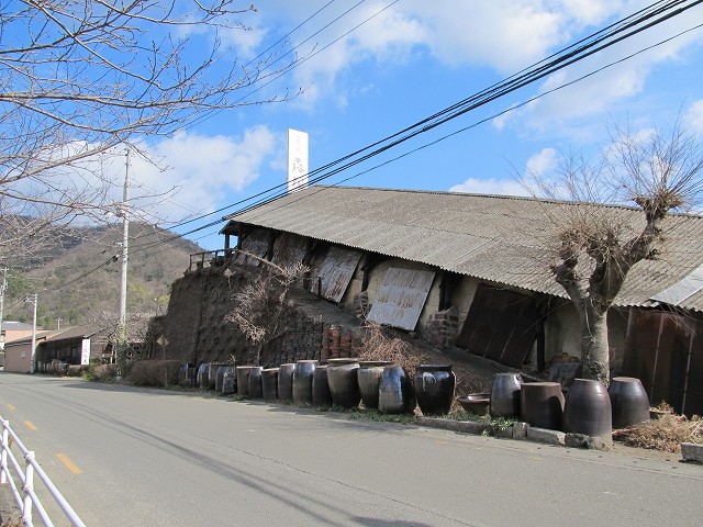 t03_006.jpg