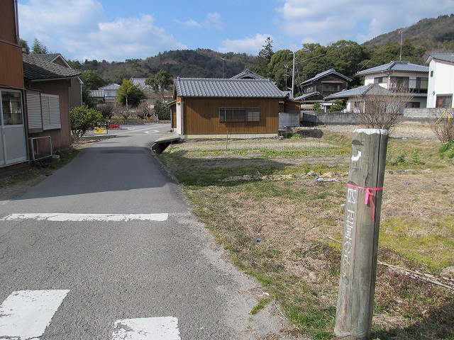 t03_010.jpg