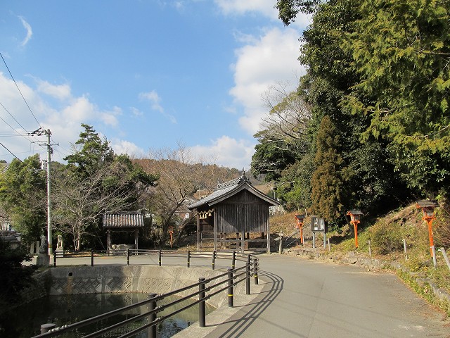 t03_014.jpg