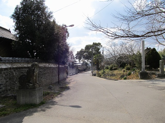 t03_016.jpg