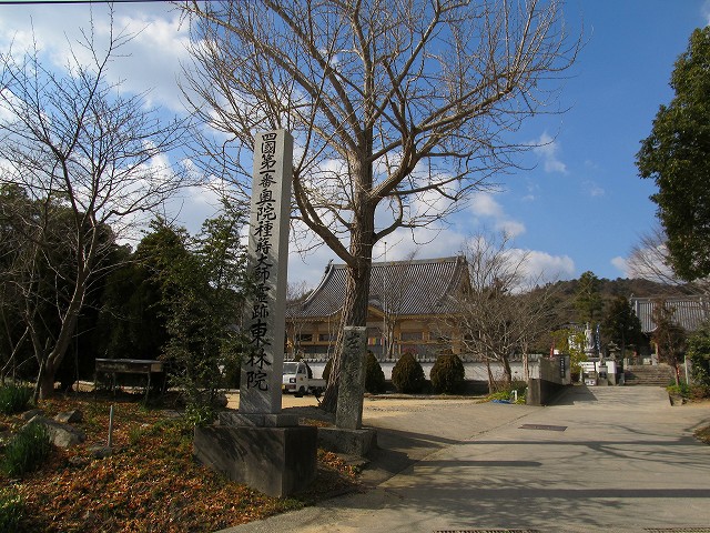 t03_017.jpg