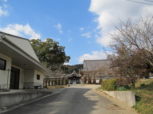 t03_018.jpg