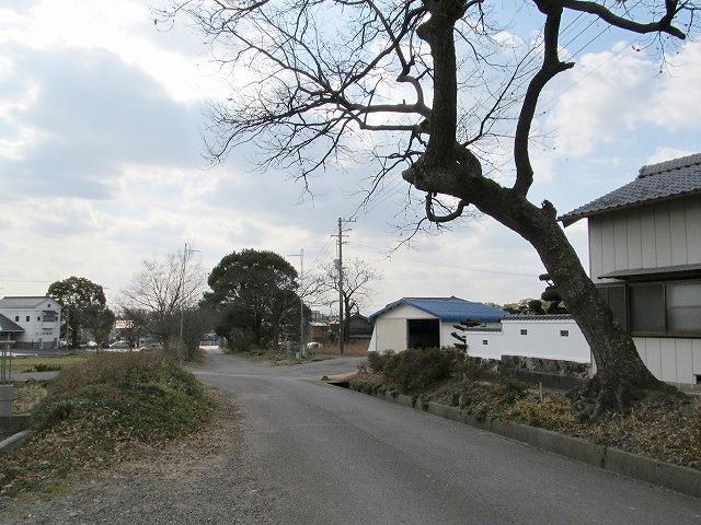 t03_019.jpg