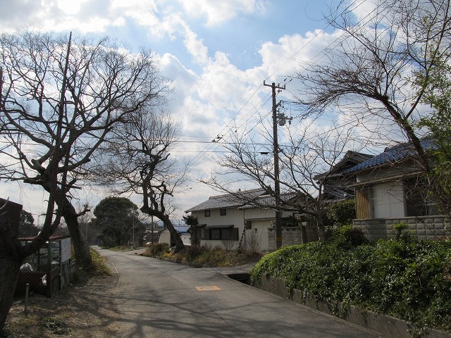 t03_020.jpg