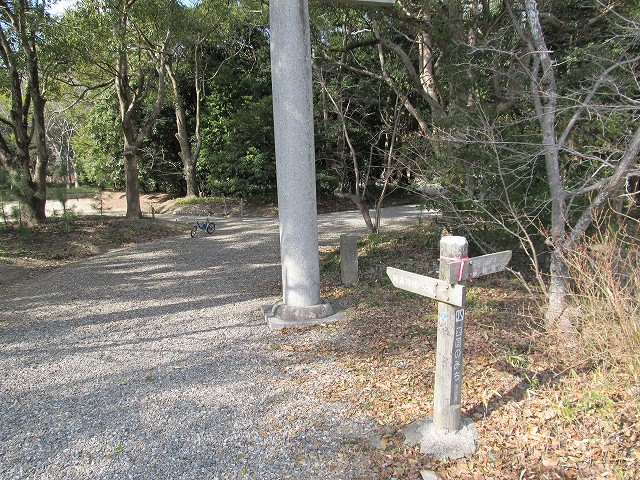 t03_025.jpg