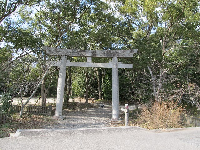 t03_026.jpg
