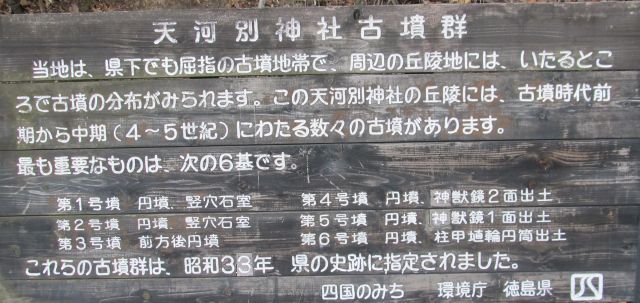 t03_035.jpg